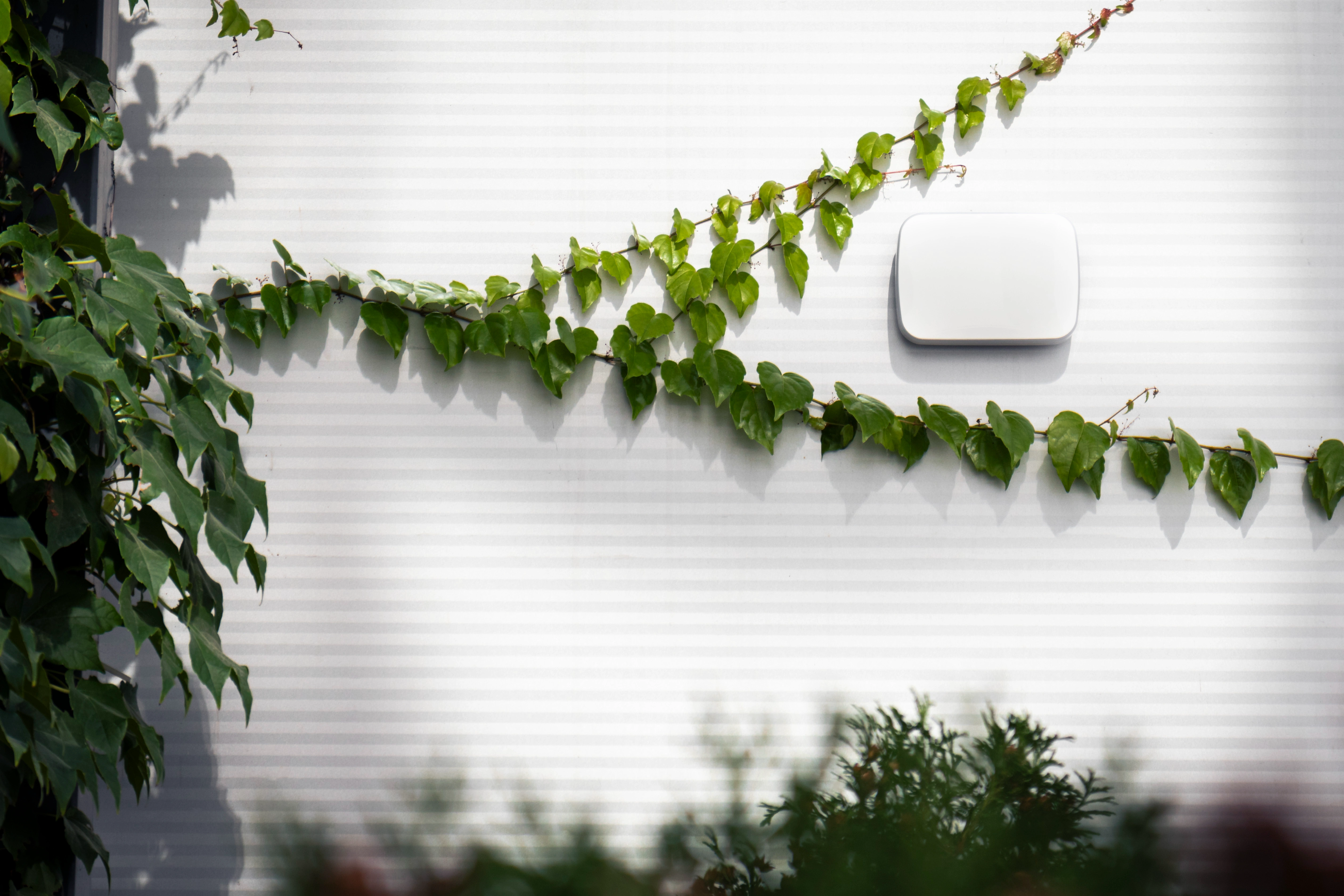 U-Prox Dahili Kablosuz Siren