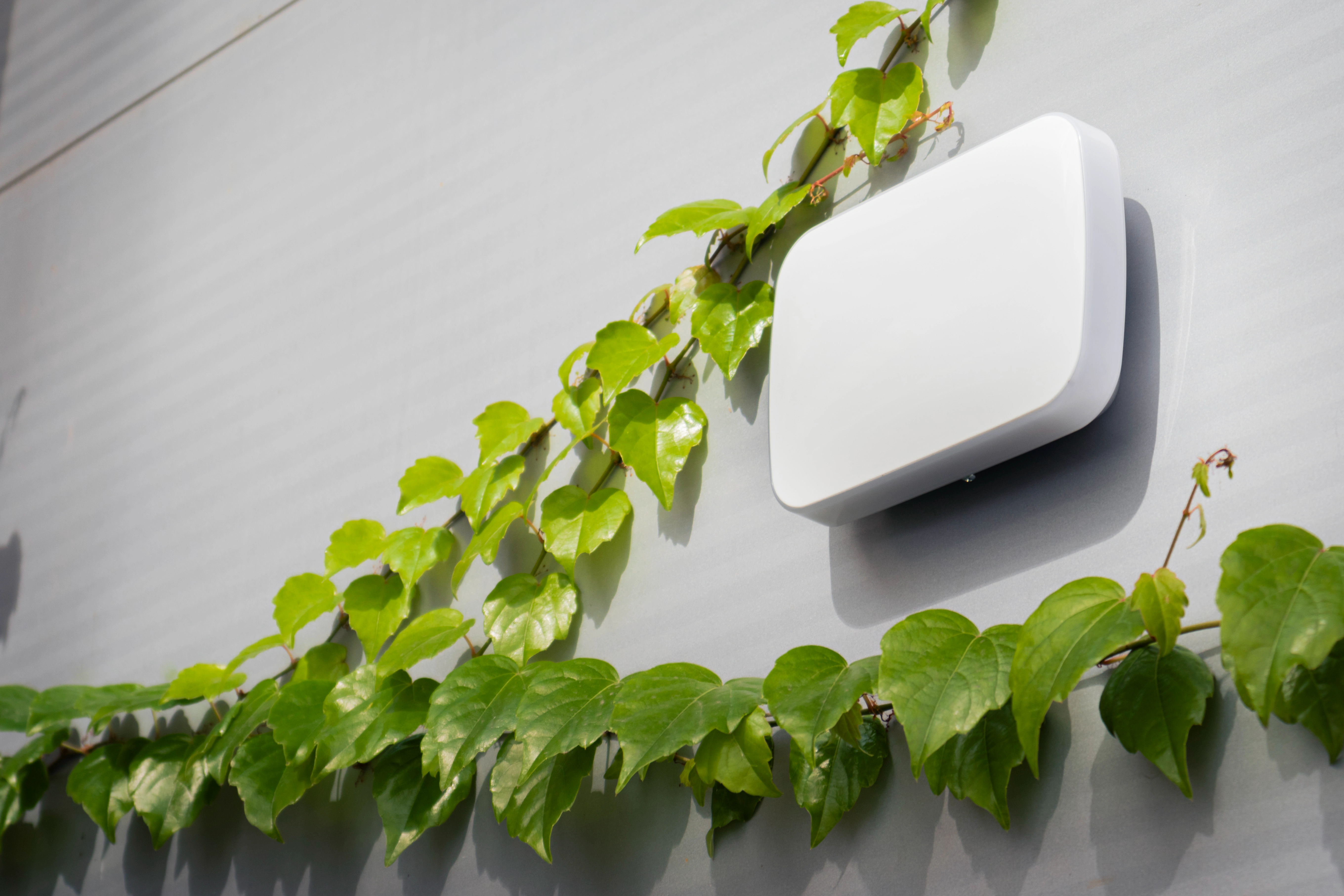 U-Prox Dahili Kablosuz Siren